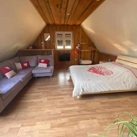 Gite Des Cigognes Sermersheim Luaran gambar